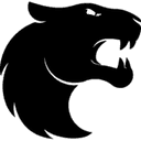 Logo for esport team