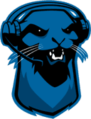 Logo for esport team