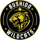 Logo for esport team