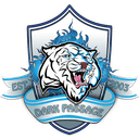 Logo for esport team