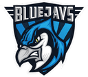 Logo for esport team