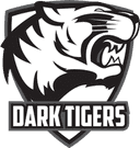 Logo for esport team