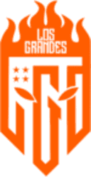 Logo for esport team