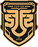 Logo for esport team
