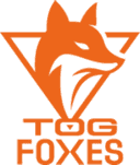 Logo for esport team
