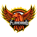 Logo for esport team