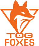 Logo for esport team