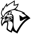 Logo for esport team