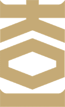 Logo for esport team