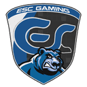 Logo for esport team