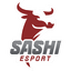 Logo for esport team