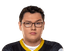 Player image