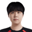 Player image