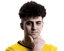 Player image