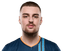 Player image