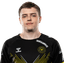 Player image