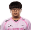 Player image