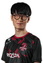 Player image