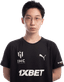Player image