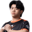 Player image