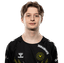 Player image