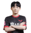 Player image