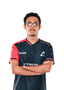 Player image
