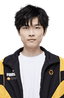 Player image