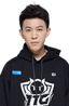 Player image