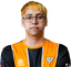 Player image