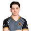 Player image