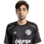 Player image