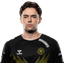 Player image