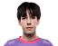 Player image