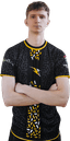 Player image