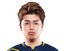 Player image