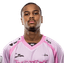 Player image