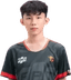 Player image