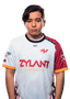 Player image