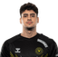 Player image