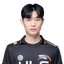 Player image