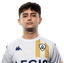 Player image