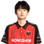 Player image