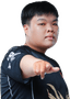 Player image