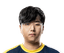 Player image