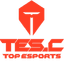 Logo for esport team