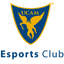 Logo for esport team