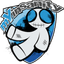 Logo for esport team