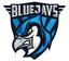 Logo for esport team