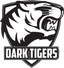 Logo for esport team